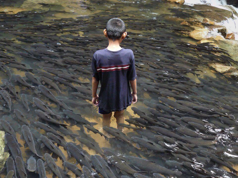 diverse - 431326_512851078736568_1451305542_n.jpg